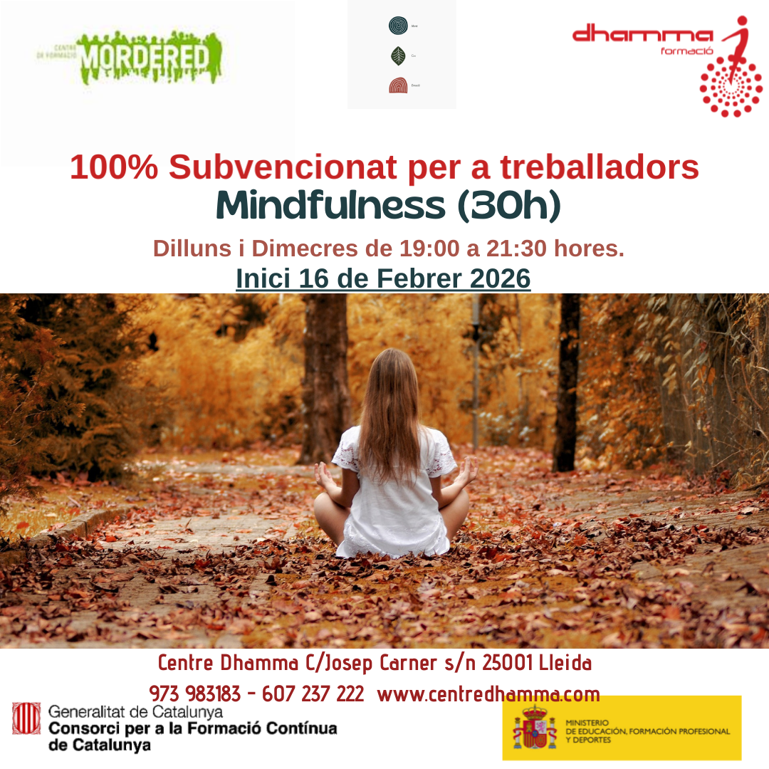 Curso Mindfulness 30h en LLeida